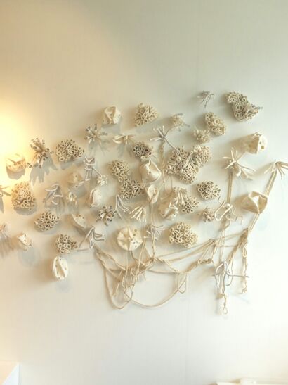 Bleached coral - a Sculpture & Installation Artowrk by Judy Hooymeyer